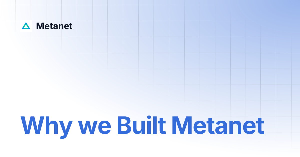 Why we Built Metanet | Metanet