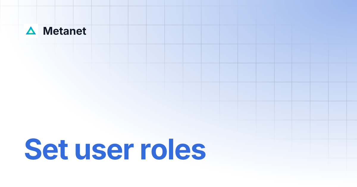 Set user roles | Metanet